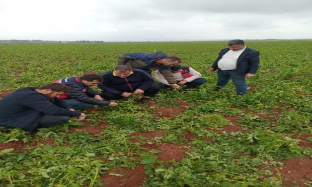 Hatay Reyhanlıda gündüz saatlerinde yağan dolu nedeniyle bir çok üreticimizin hasata gelmiş mahsüllerinin tamamı zarar görmüştür.